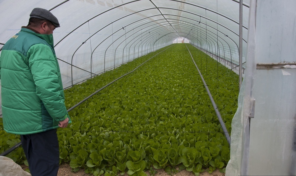 стеклопластиковая арматура, сельское хозяйство, ферма