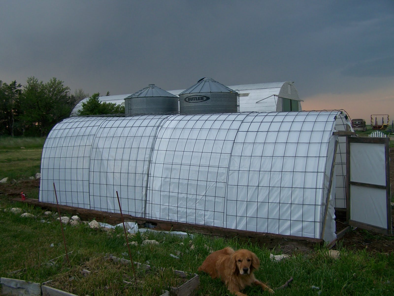 finished greenhouse side