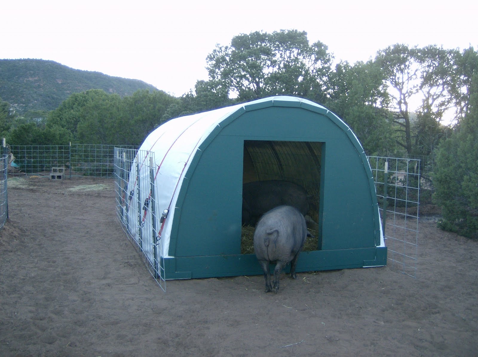 арматура жив